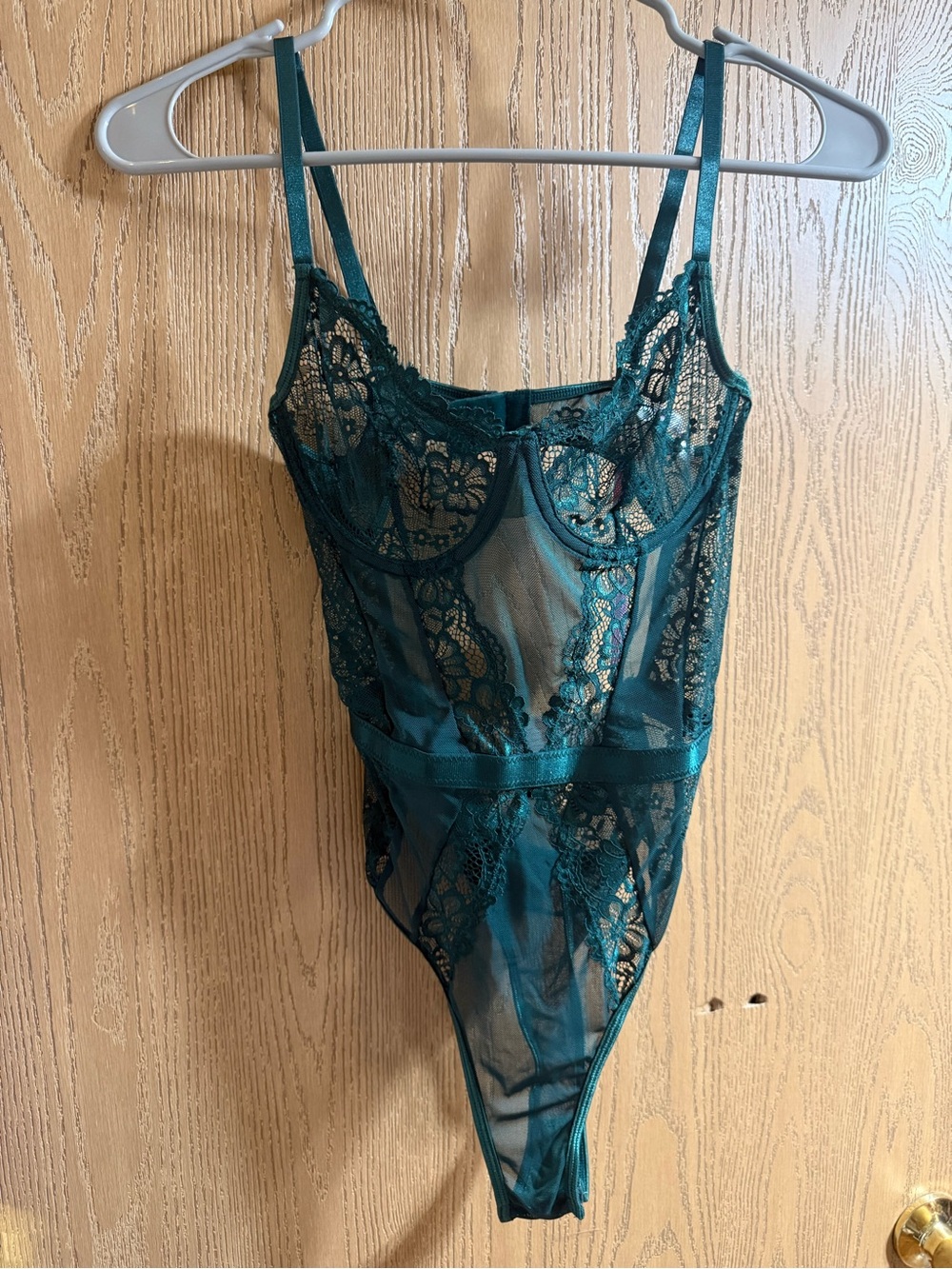 Sheer Lace Bodysuit Chemise in Teal Green